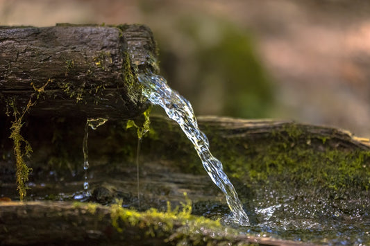 Spring Water and Its Natural Alkalinity: What You Need to Know